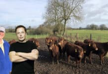 Czy to może być mój następny wielki koncert? Mając na uwadze doświadczenie zdobyte podczas kandydowania w wyborach do Rady Hrabstwa Westmeath w 2009 r. i mając moje poparcie, nie możesz tym razem przegrać.