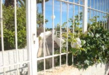 Nouveaux retards dans la réouverture de la promenade maritime d'Aguamarina (Orihuela Costa) La promenade Aguamarina est un projet clé visant à revitaliser le littoral d'Orihuela Costa en offrant un meilleur accès public, des zones de loisirs et des promenades côtières pittoresques.