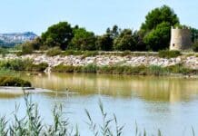 €8.2 Million Investment to Boost Flood Defences at Azarbe del Señor in Guardamar In a decisive move to strengthen flood resilience in the Vega Baja region, the Valencian Government has announced a significant €8.2 million investment to expand the drainage capacity of the Azarbe del Señor canal.