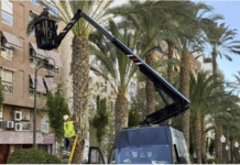 Early September and Alicante already erecting it’s Christmas Lights • Around 40 new locations will get festive lighting, including Playa de San Juan and Mercado Central.