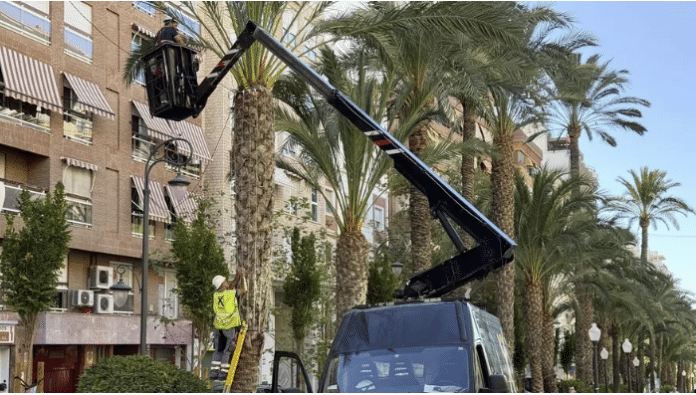 • Około 40 nowych miejsc zostanie oświetlonych świątecznie, m.in. Playa de San Juan i Mercado Central.