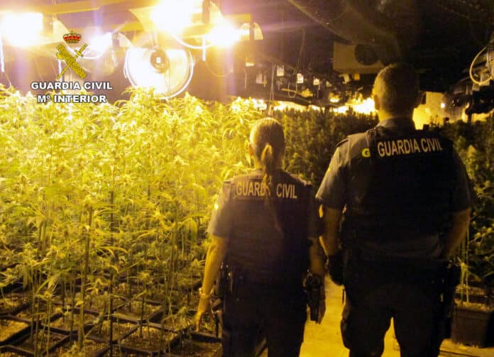 Das in einem örtlichen Industriepark gelegene Lager wurde in zwei separate, 200 Quadratmeter große Räume aufgeteilt, die jeweils mit professionellen Beleuchtungs-, Heizungs-, Bewässerungs- und Belüftungssystemen ausgestattet waren.