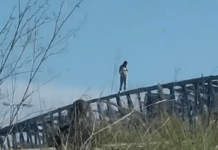 Une jeune femme menace de se suicider du haut du pont d'Orihuela Costa Une scène tendue s'est déroulée aujourd'hui lorsqu'une jeune femme a escaladé le pont de fer au-dessus de l'AP-7 près de Lomas de Cabo Roig.