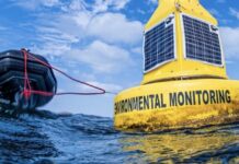 La fauna huye del sur del Mar Menor ante el desplome de los niveles de oxígeno Las alarmas vuelven a sonar en el Mar Menor, ya que la vida marina abandona cada vez más la zona sur de la laguna debido a los niveles de oxígeno peligrosamente bajos.