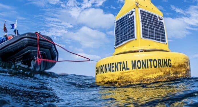 Alarm bells are ringing around the Mar Menor once again, as marine life increasingly leaves the southern section of the lagoon due to dangerously low oxygen levels.