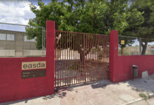 The Alicante School of Art Shifts to Online Classes Following Flea Infestation According to school sources, the institution is acting with “the utmost diligence” to safeguard the well-being of all students and staff. Once the health intervention is complete, the center will reopen and return to normal operations.