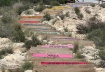 Benejúzar Unites Vega Baja Towns with New Commemorative Stairway Mayor Vicente Cases said the stairs “symbolically unite the comarca from its heart, reminding us that each town has its own identity but shares a common history and future.”