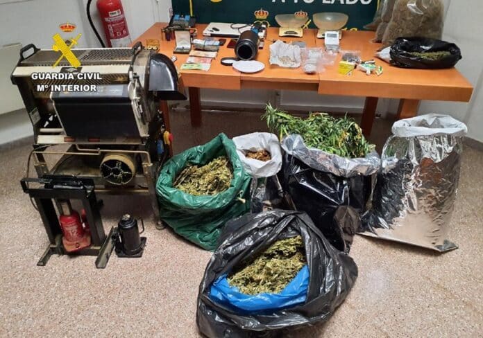 Le autorità di Los Montesinos hanno smantellato una piantagione illegale di marijuana, sequestrando più di 13 chili di cannabis e arrestando due persone in relazione a reati legati alla droga.