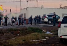 Bloed op het asfalt in Almería: vier personen aangehouden na brutale aanval op truckstop De vier arrestanten zijn voorgeleid aan de rechtbank van Almería. De Guardia Civil omschreef de aanval als "buitengewoon gewelddadig", wat de extreme risico's onderstreept die vrachtwagenchauffeurs lopen wanneer ze zich op de Spaanse snelwegen bevinden.