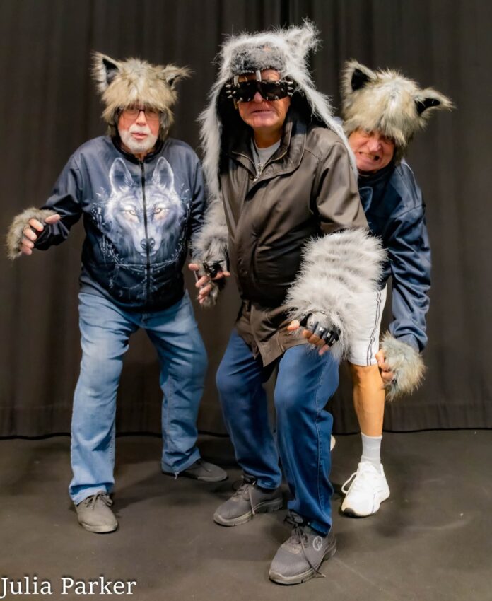 Dette familievennlige showet lover mye latter, musikk, dans og den klassiske pantomimetradisjonen med publikumsdeltakelse.