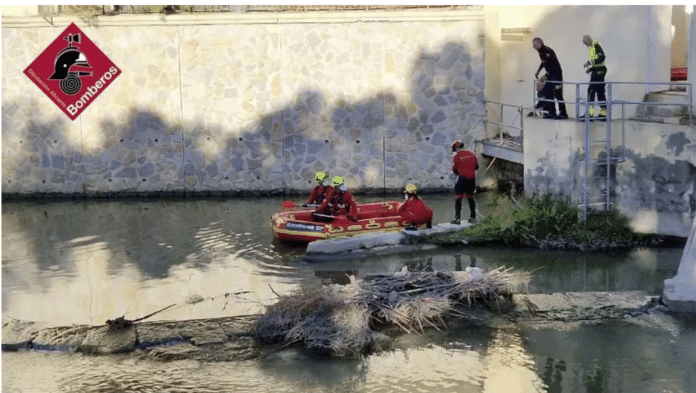 Cette découverte pourrait être liée à la disparition de Joaquín ON, 47 ans, porté disparu le 24 novembre à Orihuela. Il est décrit comme étant mince, mesurant environ 1.80 mètre, avec des yeux bruns et des cheveux gris.