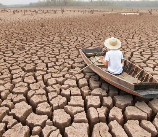 Czy zielony rozwój naprawdę może nas zjednoczyć? Zmiany klimatyczne powodują powszechne zaburzenia w przyrodzie