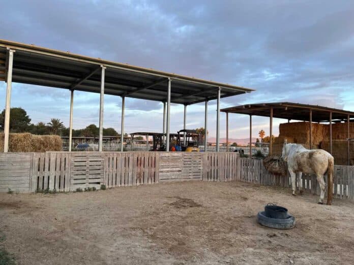 El Easy Horse Care Rescue Centre funciona enteramente con donaciones, trabajo voluntario y los esfuerzos de Rod y Susan, quienes han dedicado casi dos décadas a rescatar animales del abandono, la negligencia y el abuso.