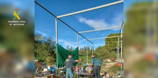 Illegal Workshop Found Just a Few Meters From the Lagunas de la Mata y Torrevieja Natural Park The Civil Guard has uncovered a clandestine vehicle repair workshop in Torrevieja that was operating without the required administrative authorization and was potentially causing environmental harm near a protected natural area
