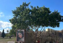 Maximum Juvenile Sentence of 8 years for Cloe’s Killers A Juvenile Court in Alicante has sentenced the two young men convicted of the murder of 15-year-old Cloe in Orihuela Costa to eight years in a juvenile detention centre, the maximum sentence permitted under Spain’s juvenile justice system.