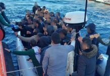 У 2025 році нелегальна міграція до Іспанії різко скоротилася більш ніж на 40% Незважаючи на загальне скорочення кількості мігрантів, людські втрати залишаються високими. Іспанська неурядова організація Caminando Fronteras повідомила, що у 2025 році, намагаючись дістатися Іспанії, загинуло понад 3,000 мігрантів, включаючи 437 дітей.