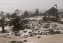 Snow Forecast for Alicante Province as Storm ‘Francis’ Approaches From this Saturday, Alicante province will experience a sudden shift in conditions, with rain, a notable drop in temperatures, and the possibility of snow in locations where it is normally rare.