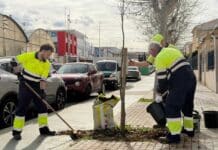 В Торревьехе высадили 42 новых дерева для озеленения городских улиц. Департамент парков и садов Торревьехи высадил 42 новых дерева вдоль проспектов Дельфина Виудес и Диего Рамирес в рамках реализуемого в городе плана по озеленению.