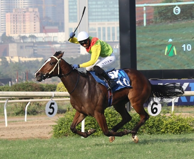 Horse racing in India is boosting the sports betting industry