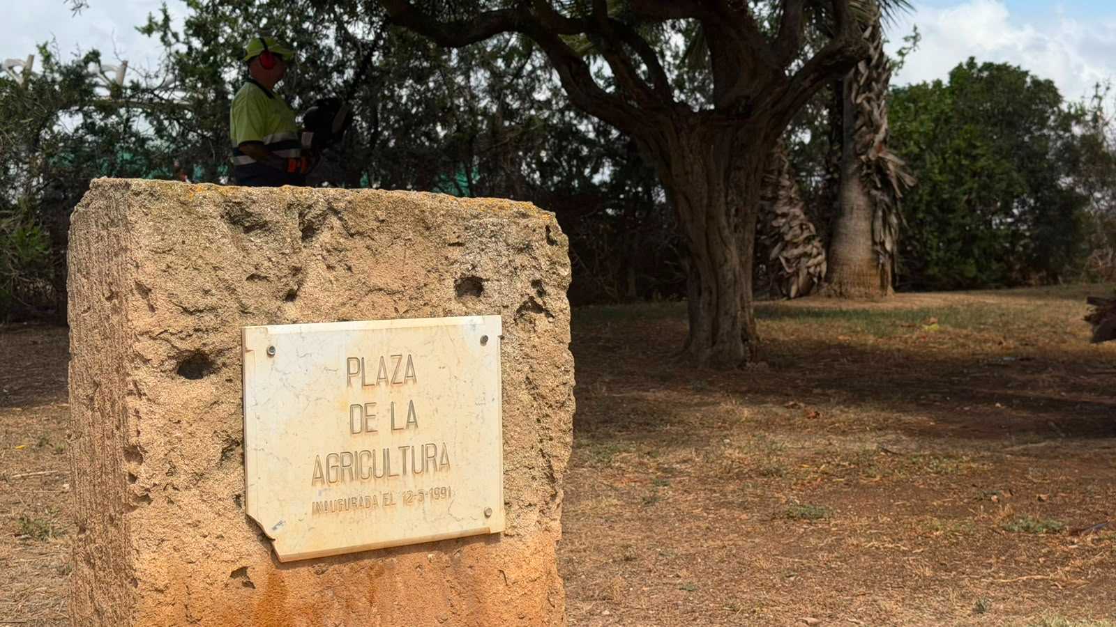New Life for La Mata’s Historic Square